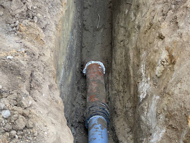 Best Flood damage cleanup  in Onsted, MI