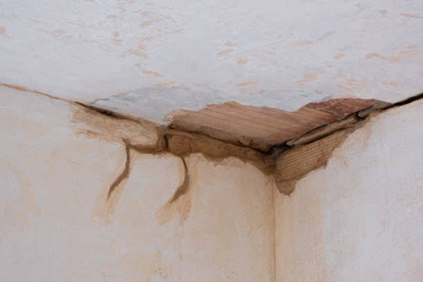 Best Water damage restoration experts  in Onsted, MI