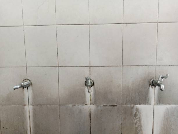 Best Local water damage restoration  in Onsted, MI