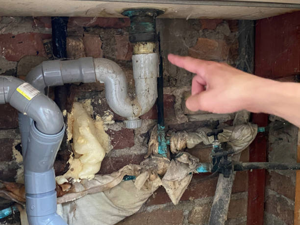 Best Sewage cleanup and water damage restoration  in Onsted, MI