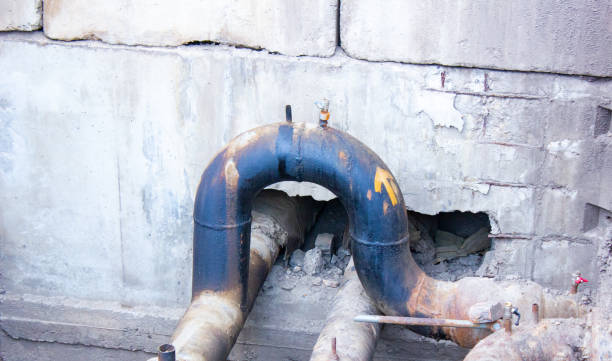 Best Local water damage restoration  in Onsted, MI